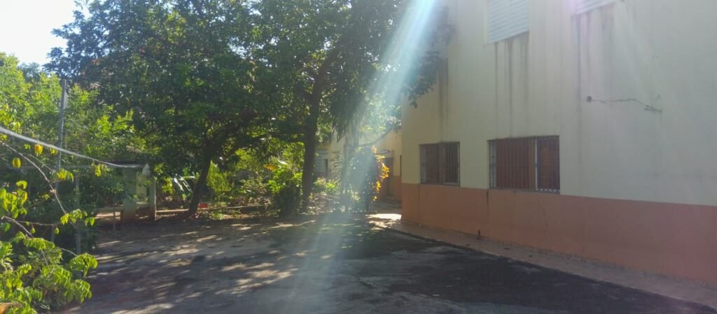 IMG-20251107-WA0008