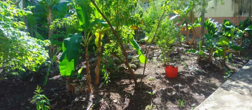 IMG-20251107-WA0011