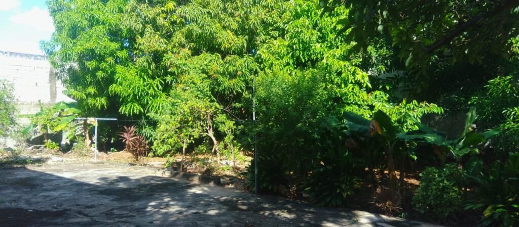 IMG-20251107-WA0012
